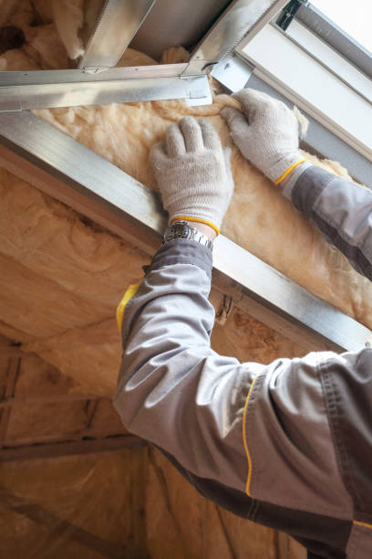 Best Insulation Repair Services  in Indian Hills, TX